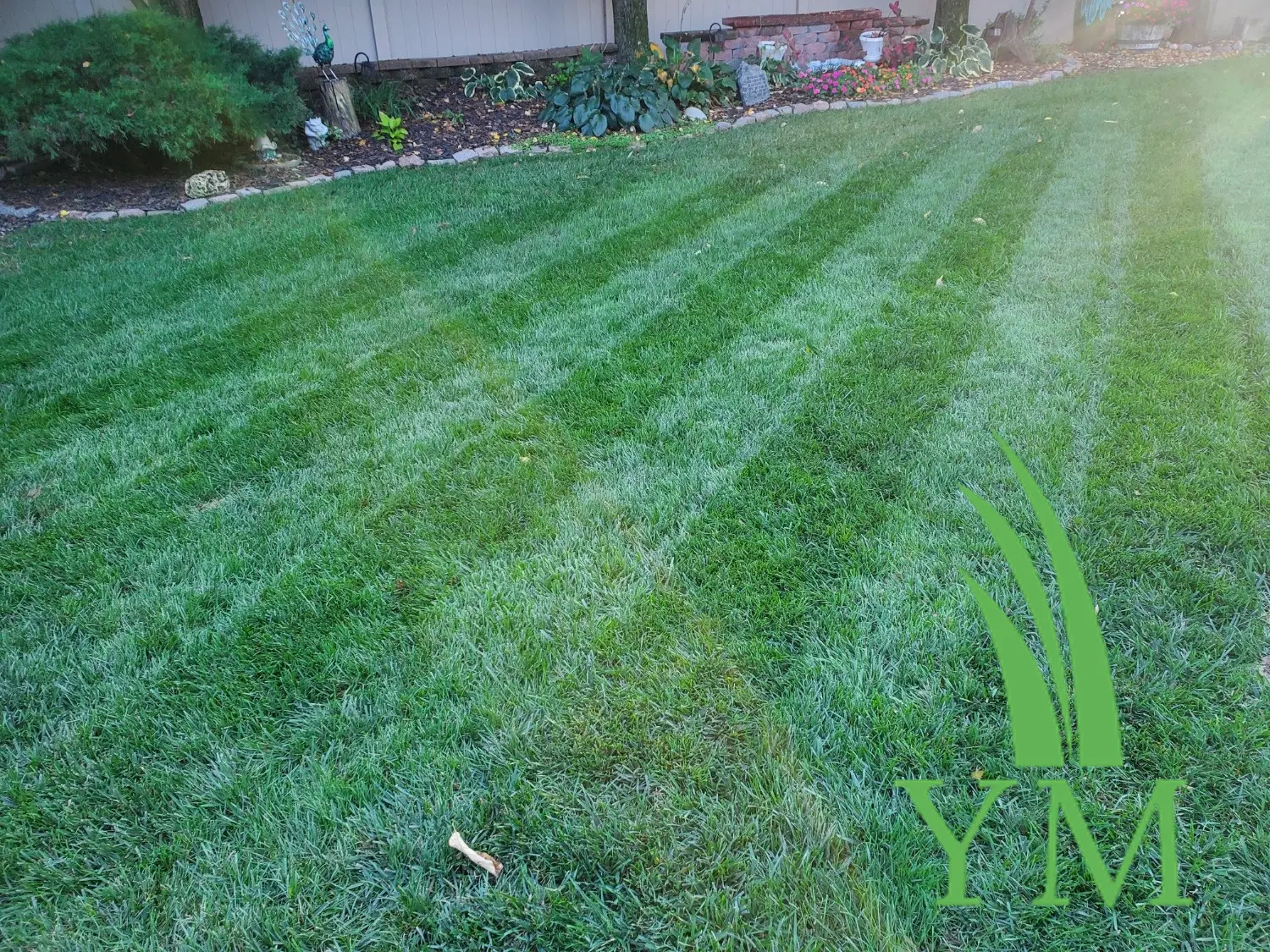 0-0-7 Granular Prodiamine Pre-Emergent | Yard Mastery | Herbicide (wholesale) - Image 6