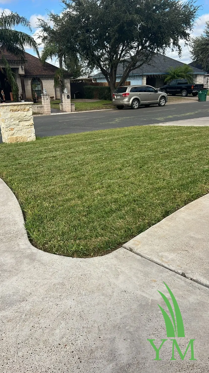 0-0-7 Granular Prodiamine Pre-Emergent | Yard Mastery | Herbicide (wholesale) - Image 8