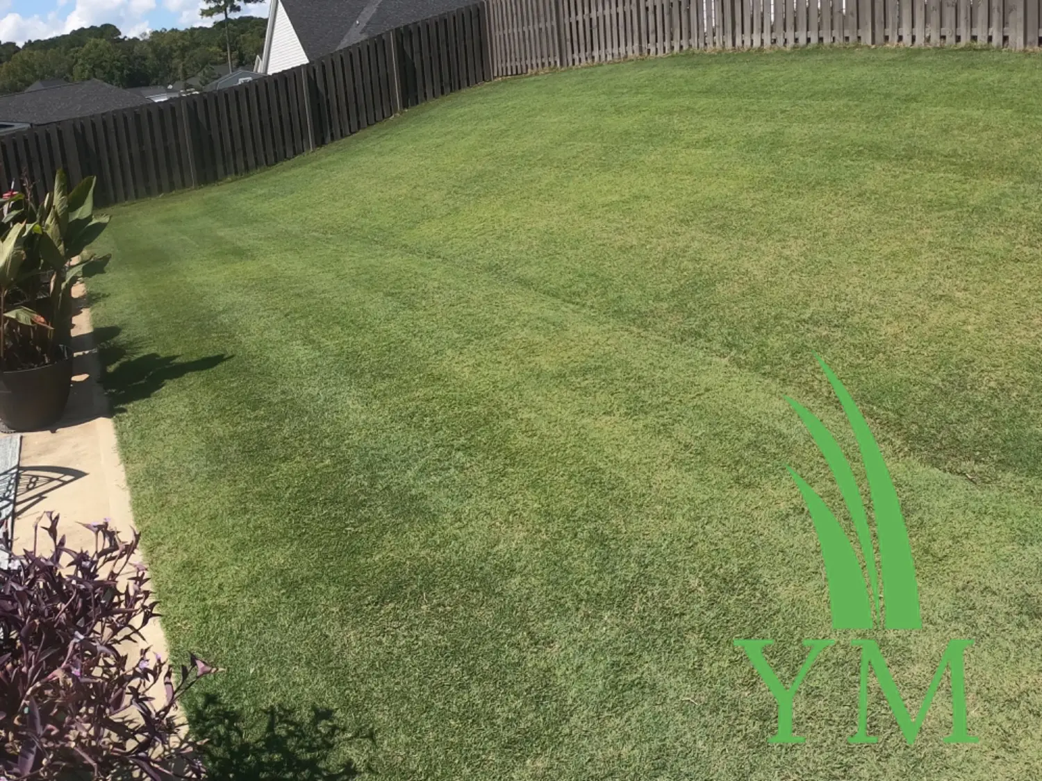 0-0-7 Granular Prodiamine Pre-Emergent | Yard Mastery | Herbicide (wholesale) - Image 9