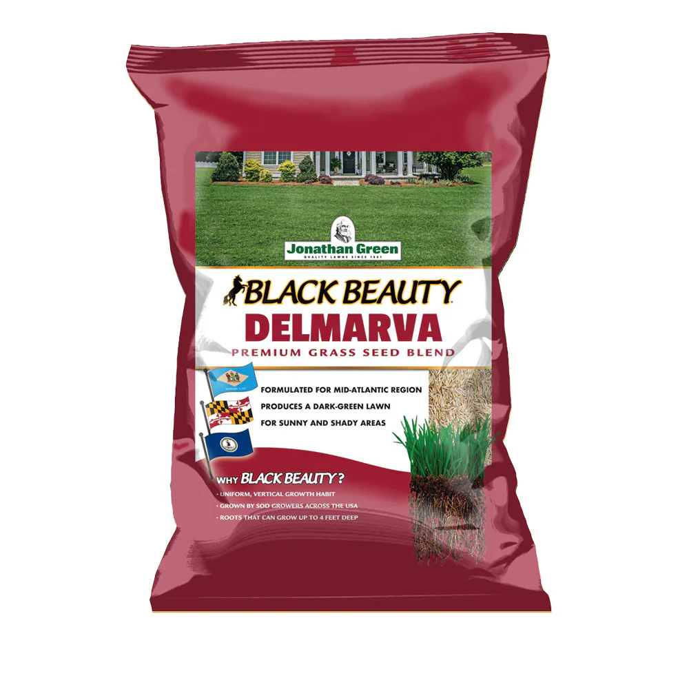 Black Beauty Delmarva Grass Seed | Jonathan Green