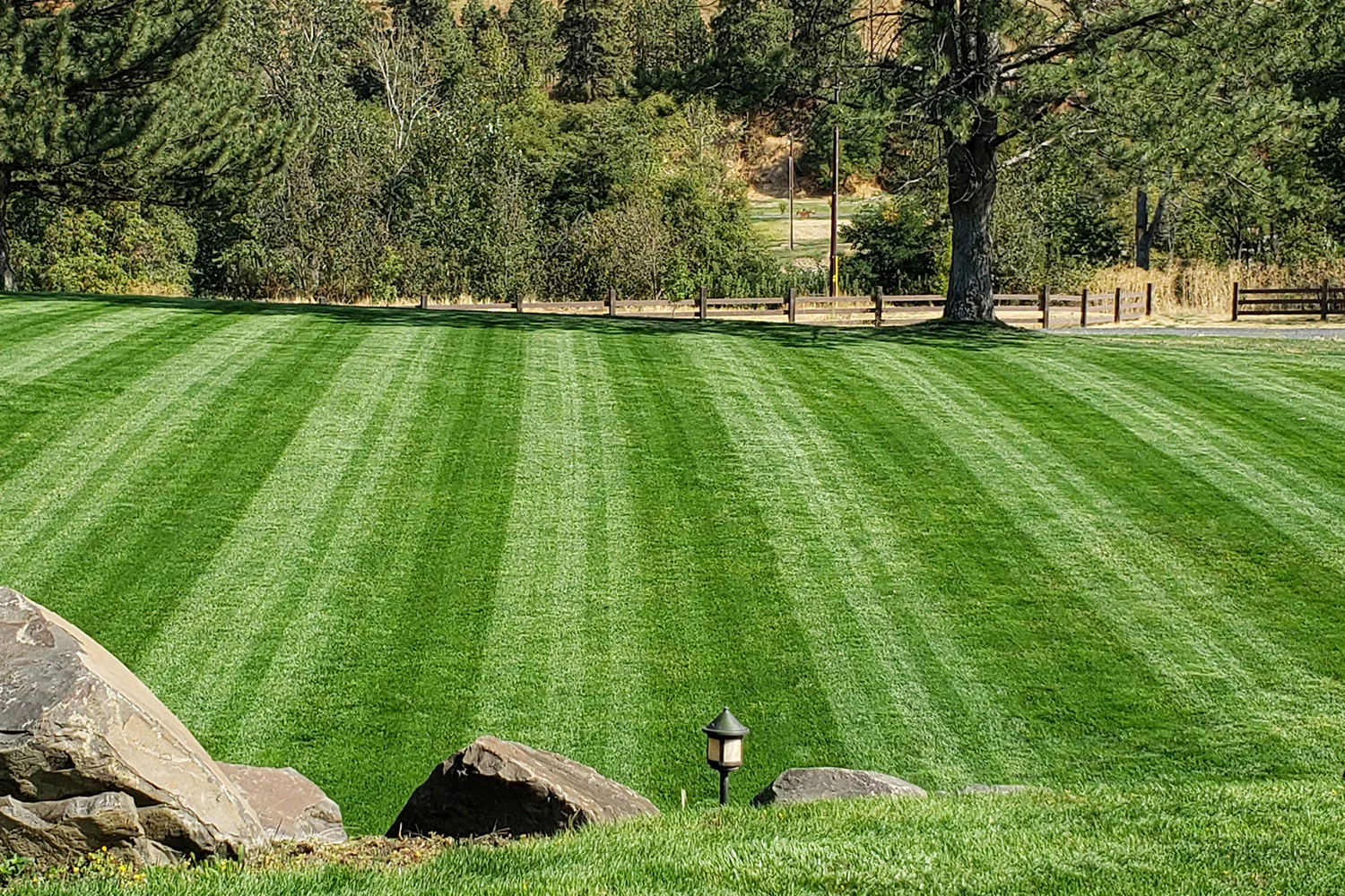 DIY Premium Double Dark Green Grass Seed - Cool Season Blend | MySoil - Image 5